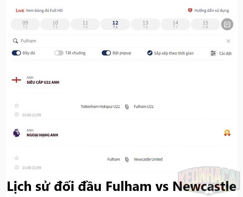 Lịch sử đối đầu Fulham vs Newcastle