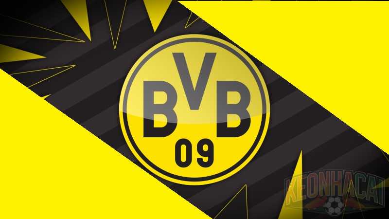 Câu lạc bộ bóng đá Borussia Dortmund