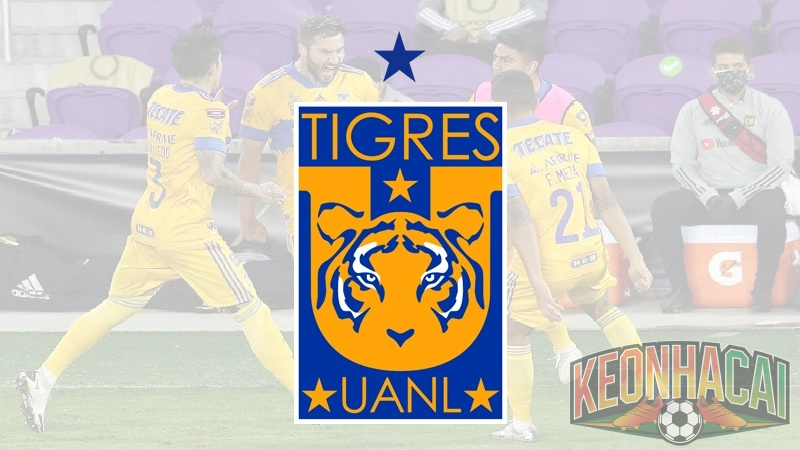 Thành lập câu lạc bộ bóng đá Tigres UANL