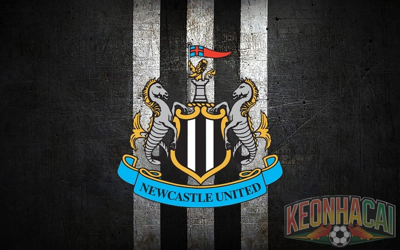 Tiểu sử Newcastle United